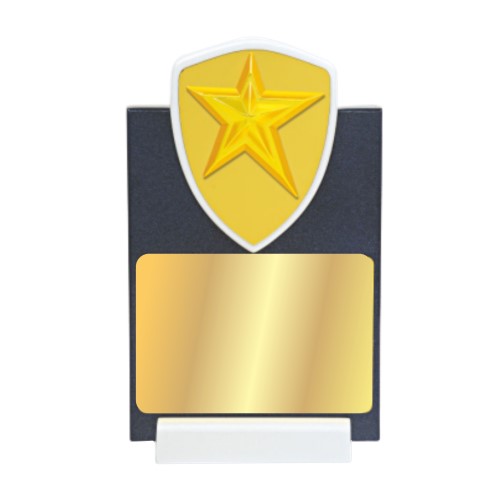 Wooden Award Plaque with Star 