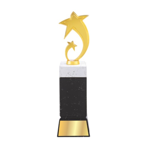 Black and White Trophy with Star on Top 