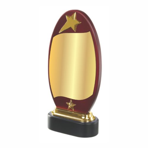 Twinkle Gold Star Wooden Trophy 