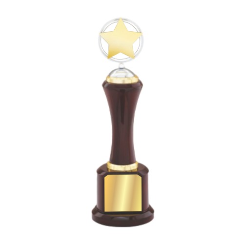 Wooden Trophy with Metal Star 